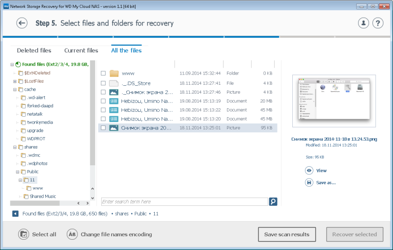 Network Storage Recovery - Explorer